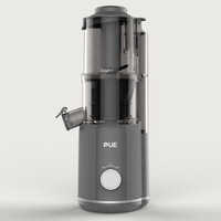 Oem/Odm Groothandel Elektrische Slow Juicer Machine Modern Design Koude Pers Plastic Mes Voor Het Kauwen Van Fruit Voor Huishoudelijk Gebruik Rv