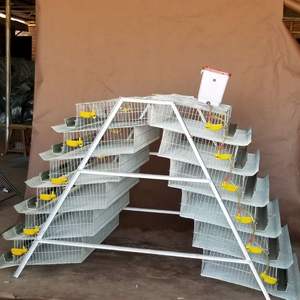 Pollame Strato di Quaglia Gabbie E Attrezzature Quaglia Gabbia Strato Per 6 Uccelli Quaglia Casa Fattoria - Product Image 4