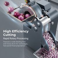 Machine professionnelle de découpe en dés et en cubes pour légumes et fruits, coupe-oignon, pomme de terre, carotte, tomate, mangue, pomme, pour la transformation alimentaire