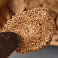 Saussurea Lappa - Prix abordable, excellente qualité. Produit de qualité supérieure. Article le plus vendu sur le marché.