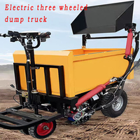 Camion à benne basculante électrique à trois roues en acier inoxydable, tricycle motorisé pour passagers et marchandises, à usage industriel