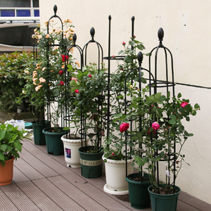 145cm 4.7 Pieds Haute Tour De Jardin <span class=keywords><strong>Treillis</strong></span> Antirouille Diamètre 25cm Plante En Pot Support D'escalade <span class=keywords><strong>pour</strong></span> <span class=keywords><strong>Fleurs</strong></span> D'intérieur Extérieur - Product Image 2