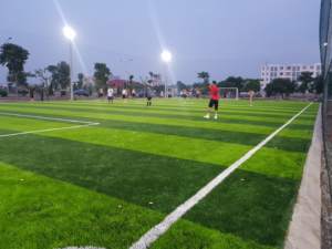 AVG Usine de <span class=keywords><strong>gazon</strong></span> artificiel de haute qualité <span class=keywords><strong>Prix</strong></span> de gros Vert <span class=keywords><strong>Faux</strong></span> <span class=keywords><strong>gazon</strong></span> synthétique Tapis de <span class=keywords><strong>gazon</strong></span> Football <span class=keywords><strong>Gazon</strong></span> de football - Product Image 2