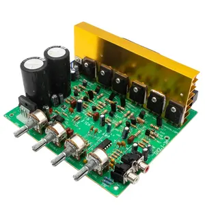 DX-2. 1-Kanal-Hochleistungsverstärkerplatine DIY Professional Power Digital Audio Amplifier