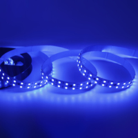 Tira de Luz Flexible UCS2903 5050RGB 120D 12V SK6812 USB, Tira de Luz LED Inteligente con Control Remoto, Resistente al Agua IP67 para Interiores y Exteriores