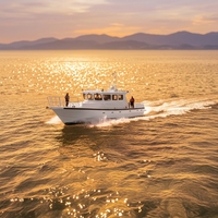 Bateau à réaction électrique en aluminium soudé sur mesure de 13,75 m avec cuisine et cabine pour opérations de pêche, de tourisme sportif et respectueuses de l'environnement