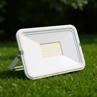 Proyector LED Pronto de 20W, Blanco, Extra Delgado, COB, IP65, Ligero, para Iluminación Exterior