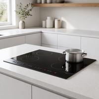 Carte de commande PCBA pour cuisinière radiant 5 brûleurs, avec capteur NTC multiple, protection contre les surcharges et les courts-circuits, carte de remplacement universelle, conforme RoHS