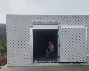 Contenedor de Almacenamiento en Frío de 20 pies/40 pies con Unidad de Refrigeración de 220v para Uso Doméstico, Cámara Frigorífica para Carne y Pescado - Product Image 1