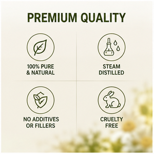 <span class=keywords><strong>Aceite</strong></span> Esencial <span class=keywords><strong>de</strong></span> Manzanilla al por Mayor para el Cuidado <span class=keywords><strong>de</strong></span> la Piel, Hidratación, Relajación y Aromaterapia, Proveedor Mayorista - Product Image 3