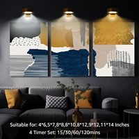 Sunaluna Lot de 3 lampes murales en plastique pour photos, télécommande, variateur d'intensité, minuterie, 3 modes d'éclairage, lampes magnétiques pour affichage d'art