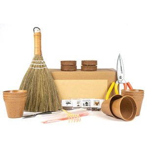 Ensemble de plantation de bonsaï Kit de plantation d'intérieur bricolage pour enfants adulte <span class=keywords><strong>Pot</strong></span> biodégradable plantation avec petit balai - Product Image 1