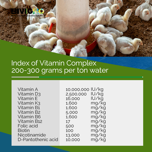 วิตามินรวมชนิดละลายน้ำ <span class=keywords><strong>AD3E</strong></span> K B คอมเพล็กซ์ สำหรับสัตว์ปีก ไก่เนื้อ ช่วยเร่งการเจริญเติบโตและประสิทธิภาพการวางไข่ - Product Image 4