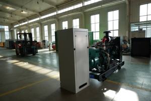 8kW प्राकृतिक गैस विकल्प के साथ 80kW प्राकृतिक जनरेटर सेट वीचप कम उत्सर्जन निर्माता आपूर्ति - Product Image 5