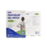 CSI Hydrogel punggung bahu leher sendi pereda nyeri Gel pendingin Patch