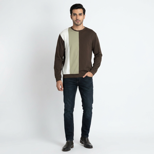 Sweat-shirt à capuche d'hiver coupe classique 100% coton Tissu léger respirant Logo personnalisé Mode streetwear pour hommes - Product Image 1