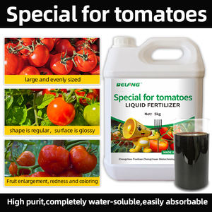 <span class=keywords><strong>Engrais</strong></span> <span class=keywords><strong>liquide</strong></span> soluble dans l'eau BELFNG à base d'acides aminés pour tomates, pureté 100%, <span class=keywords><strong>engrais</strong></span> organique à action rapide pour plantes - Product Image 3