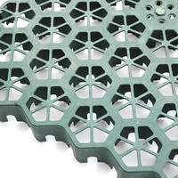 Vente directe d'usine voiturette de golf chemins grille d'herbe grille d'herbe pavés grille de stabilisation du sol