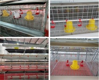 Équipement d'Élevage Avicole Automatique: Cage à Poulets de Chair pour l'Élevage