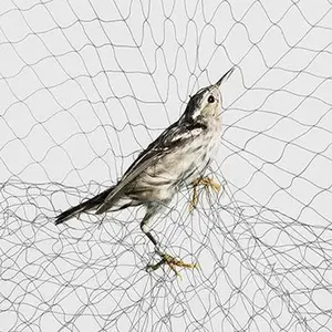 Toptan balık ağları kuşlar için koruma ağı fiyat bahçe kuş örgü