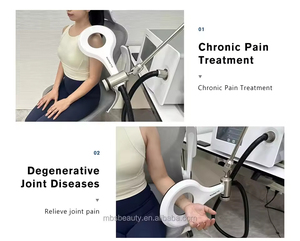 Dispositivo de Terapia Electromagnética Pulsada (PEMF) para el Manejo del Dolor en Caballos, EMTT, Máquina de Terapia Magnetoextracorpórea - Product Image 3