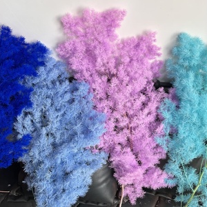 Fougères Ming et Fougères Asperges Stabilisées Écologiques, Prix de Gros, Fournitures pour Artisanat Floral DIY Personnalisé, Décoration Maison et Mariages Rustiques - Product Image 1
