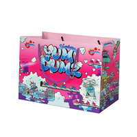 Sac en papier kraft recyclable exclusif pour les boutiques de vêtements, emballage cadeau personnalisé élégant de haute qualité avec logo personnalisé RDY