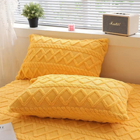 2pcs Taie d'Oreiller Velours Taie d'Oreiller 48x74cm Taie d'Oreiller Rectangle Housse de Coussin Chaude Taie d'Oreiller Fundas De Almohada