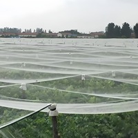 Zware hagelbeschermingsnetten beschermen fruit en planten tegen hagelschade.