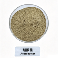 Acetobacter 10 milliards UFC/g – Poudre de culture de bactéries acétiques pour la fermentation alimentaire, dédiée à la fabrication du vinaigre comestible