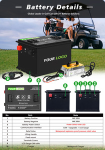 OEM giải pháp 70.4V 73.6V 105ah Lithium Golf giỏ hàng Pin 72V LiFePO4 Golf giỏ hàng Pin - Product Image 5