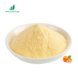 مسحوق فاكهة البرتقال الطبيعي العضوي المعتمد من وزارة الزراعة الأمريكية، مسحوق عصير البرتقال المجفف بالتجميد، مسحوق البرتقال المجفف، بيع مباشر من المصنع بجودة عالية - Product Image 3