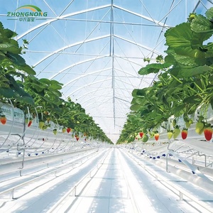 Low <strong>Cost</strong> Multi- Span Multi <strong>Tunnels</strong> Agricultural Green House Steel Frame Tropical PE Film Greenhouses Complete Set Plant Tomato - Product Image 1