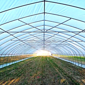 Invernadero Agrícola de un Solo Tramo a Precio Económico al por Mayor, Invernadero de Túnel de Polietileno de 3060 mm para Cultivo de Vegetales - Product Image 2