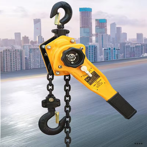 Nuevo Polipasto Manual de Cadena Avanzado, Resistente a la Corrosión, para Uso en Interiores/Exteriores, para Reemplazo/Reparación - Product Image 1