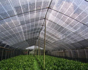 Venta al por mayor de productos de material agrícola de cubierta de planta de fabricación profesional de Vietnam - Product Image 2