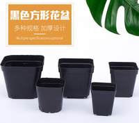 Bon marché carré 5.5cm 6cm 7cm 9cm 10cm meilleur petit pot de graine de fleur carré noir pour plantes succulentes pot de pépinière en plastique