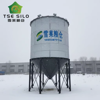 Silo a Grana Verticale con Fondo a Tramoggia per Stoccaggio Materie Prime, Silo Agricolo per Arachidi e Cereali