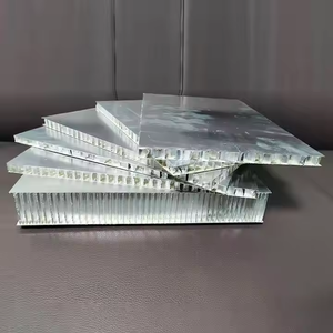 Porte en nid d'abeille en aluminium de style industriel avec revêtement antibactérien Désinfection facile pour la décoration Finition miroir de qualité hospitalière - Product Image 2