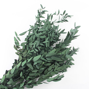 Vendita all'ingrosso all'ingrosso veri e conservati steli di eucalipto naturale verde pianta di eucalipto per la sistemazione di nozze decorazioni per la casa doccia - Product Image 4