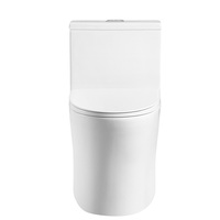 Toilette moderne en céramique à double chasse d'eau Structure monobloc allongée avec siphon en P pour hôtels