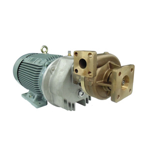 Bomba Centrífuga Criogénica de Circulación de Acero Inoxidable de Alta Presión (50-200 M) para Transporte de LCO2 en la Industria de Biocombustibles, Gran Venta - Product Image 3