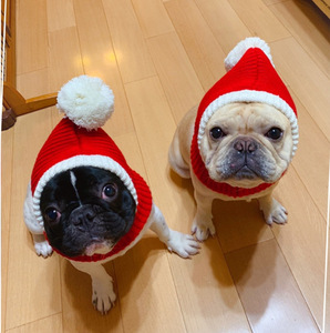 Nuovo <span class=keywords><strong>Design</strong></span> Doe <span class=keywords><strong>Pet</strong></span>: Cappello Natalizio per Cani, Berretto Invernale per Animali Domestici, Accessori per Cani, Felice Anno Nuovo - Product Image 2