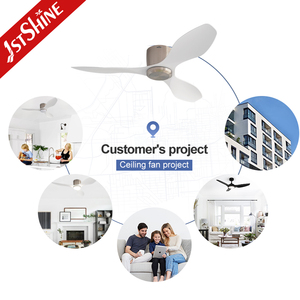 1stshine Led Ventilador de techo 2 en 1 <span class=keywords><strong>con</strong></span> opción de luz o sin luz Perfil bajo ABS Blades Ventilador de techo <span class=keywords><strong>con</strong></span> motor de CC - Product Image 5