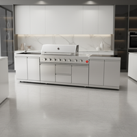 Ensemble de barbecue multifonctionnel d'extérieur au charbon de bois en acier inoxydable SUS430, sans fumée, avec dispositif de sécurité flamme, pour 5+ personnes, portable, pour la maison