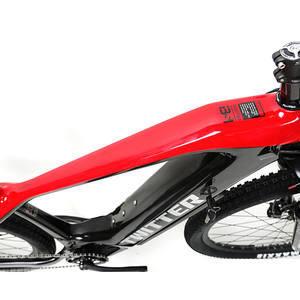 Bicicleta Eléctrica de Montaña OEM Bafang con Motor de Fibra de Carbono 29er para Adultos - Product Image 2