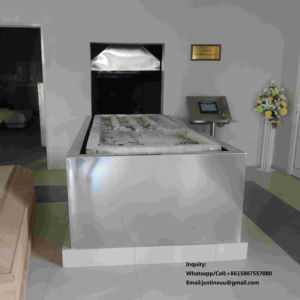 Nuevo crematorio humano con certificación ISO 14001, 220V50hz, estándar europeo, 100KG/Hora, certificado CE, 7500W, para cremación humana - Product Image 1