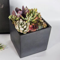 Grand pot carré en béton orange, épais et respirant, pour plantes vertes d'intérieur, couleur et logo personnalisés, vente en gros
