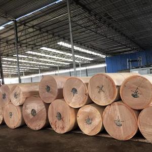 Natural 4x8 0.3mm Rotary Cut <strong>Face</strong>/Back Gabon Okume <strong>Veneer</strong> for Plywood and Door <strong>Faces</strong> - Product Image 5