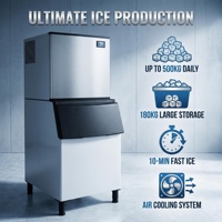 Machine à glaçons commerciale, machine à glaçons industrielle 250 kg, machine à glace en bloc pour entreprise